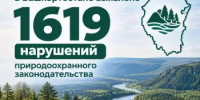 С начала года в Башкортостане выявлено 1619 нарушений природоохранного законодательства - Минэкологии РБ