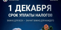Уплачивайте налоги вовремя. - Куртамышский муниципальный округ
