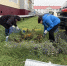В Салехарде завершили сезон клумб ЛДПР - ЛДПР