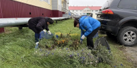 В Салехарде завершили сезон клумб ЛДПР - ЛДПР