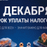 С 1 октября 2026 года стартовала информационная кампания по вопросам уплаты имущественных налогов и налога на доходы физических лиц (НДФЛ). - Администрация Солтонского района