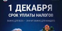 С 1 октября 2026 года стартовала информационная кампания по вопросам уплаты имущественных налогов и налога на доходы физических лиц (НДФЛ). - Администрация Солтонского района