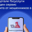 На Госуслугах появилась новая защита от мошенников. - Администрация Белгородского района
