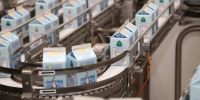 Экспорт сыров вырос в 1,7 раза, а молока и сливок — на 55,2%. - Газета Маяк