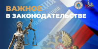 «Важное в законодательстве»: контроль на границе Российской Федерации – что необходимо знать въезжающим иностранцам - Портал Все мы - Россия!