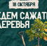 Ковчег приглашает на посадку деревьев - Свято-Троицкий собор