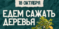 Ковчег приглашает на посадку деревьев - Свято-Троицкий собор