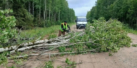 Фото: дорожное агентство «Архангельскавтодор» - Сетевое издание Устьянский край