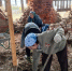 В руинированном храме села Матюшево Сосновского благочиния прошёл субботник - Выксунская епархия