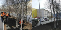 На проспекте Карла Маркса и улице Транспортной сотрудники КЗХ продолжают рекультивацию газонов - Kolyma.Ru