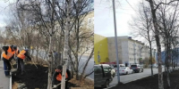 На проспекте Карла Маркса и улице Транспортной сотрудники КЗХ продолжают рекультивацию газонов - Мэрия города Магадана