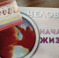 Фото Ирины Тунгусовой - Tumentoday.Ru