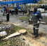 63 аварийных дерева снесут на Морском проспекте - Газета Навигатор