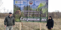 В Барнаульском лесничестве высадили молодые деревья в рамках акции «Сохраним лес» - Рослесозащита Алтайского края