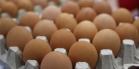 В каких продуктах содержится селен, рассказали эксперты красноярцам - Наш Красноярский край