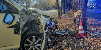 В Абакане дамочка на автомобиле протаранила в аэропорту дерево и покалечила двоих детей - Агентство Информационных Сообщений