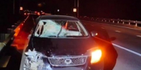 59-летний мужчина погиб под колёсами Toyota на трассе Чита — Забайкальск - Байкал24