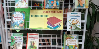 В  библиотеке с. Бриакан открыта выставка новых книг - «Книжные новинки» - Библиотечно-музейный центр м. р. им. Полины Осипенко