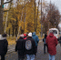 До +11 градусов и небольшой дождь прогнозируют во Владимире - PRO Город Владимир