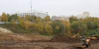 Во Владимире продолжится вырубка деревьев в бывших садах за ДТЮ - Комсомольская правда