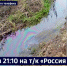 Смотрите в 21:10. Экологи и прокуратура ищут источник загрязнения нефтепродуктами реки Чёрная - ГТРК Дальневосточная