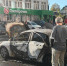 В ульяновской полиции рассказали подробности ЧП на улице Робеспьера - Ulpravda.Ru