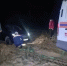 Ростовчане несколько часов не могли выбраться из леса в Шолоховском районе - DonDay.Ru