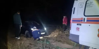 Ростовчане несколько часов не могли выбраться из леса в Шолоховском районе - DonDay.Ru