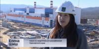 Экс-министр энергетики Приморья Елена Шиш возвращается в правительство региона - ГТРК Владивосток