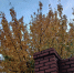 В Калуге сняли ограничения для полётов - Комсомольская Правда