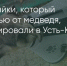 Поделитья во ВКонтакте - Братская Студия Телевидения