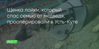 Поделитья во ВКонтакте - Братская Студия Телевидения