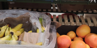 Рязанцам бесплатно передали 38 тонн продуктов для употребления в ближайшее время - Комсомольская Правда