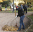В Петербурге 17 октября пройдет Общегородской «Добрый субботник» - Spbdnevnik.ru