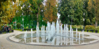 Фото: НИА Кубань - НИА-Кубань