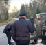 В Ленобласти задержали подозреваемого в браконьерстве после гибели лося - Комсомольская правда