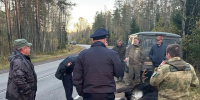 В Ленобласти задержали подозреваемого в браконьерстве после гибели лося - Комсомольская правда