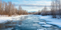 Заморозки ночью и до +10°C днем ожидаются в Ленобласти 14 октября - Газета Приозерские ведомости