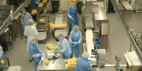 Экспорт молочной продукции из Вологодской области вырос на 12% - OnlineVologda.Ru