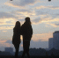 Психолог предупредила об опасности «синдрома Винни-Пуха» в отношениях - КП Екатеринбург