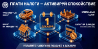 Плати налоги - активируй спокойствие! - Администрация г. Геленджика