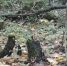 Калуга-поиск - Kaluga-Poisk.Ru