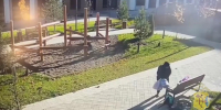 В Кирове задержали мужчину, укравшего инструмент для ландшафтного дизайна - Newsler.Ru