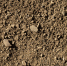 image - GazetaRB.Ru