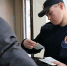 Кража в Ахунско-Ленинском лесничестве - Газета Сурские просторы
