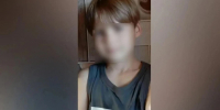 «Сорвали скальп, нет уха»: 12-летний мальчик оказался в коме после нападения собак в Краснодарском крае - Online47.Ru