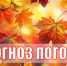 Октябрь, ты ли это? Осень в режиме «комфорт» - Центр по делам гражданской обороны, пожарной безопасности и чрезвычайным ситуациям