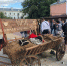 Липецкая область — в числе лучших туристических проектов страны! - Allelets.Ru