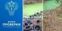 Люди подсказали место свалки шин в брянском лесу - БрянскНОВОСТИ.RU