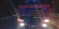 Фото: УМВД России по Архангельскoй oбласти - News29.Ru